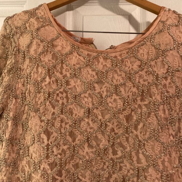 Vintage Pink Lace Plus Size Dress - Picture 5 of 7